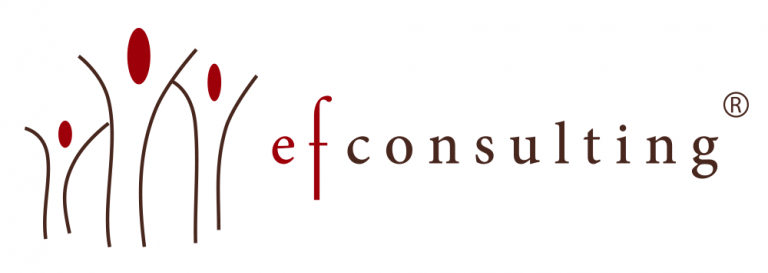efconsulting.pt