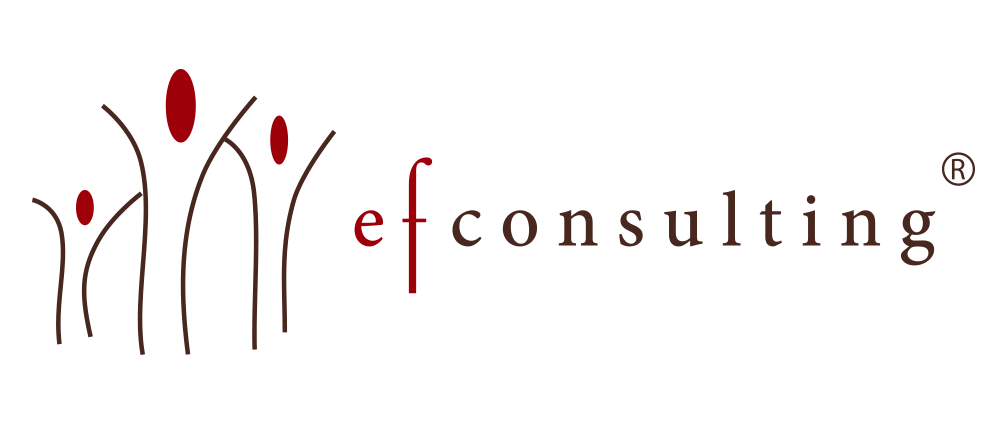 efconsulting.pt