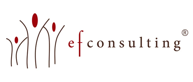 Logótipo efconsulting®