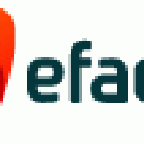 A sucessão dos cargos executivos na Empresa Familiar é baseada no mérito e independente das relações familiares?